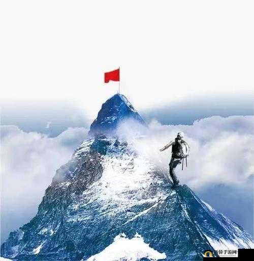 共同攀登，巅峰见证