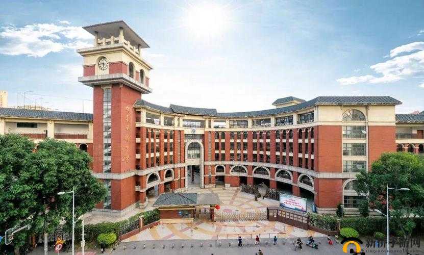 随时随地都能干的学校：培养全面人才的摇篮