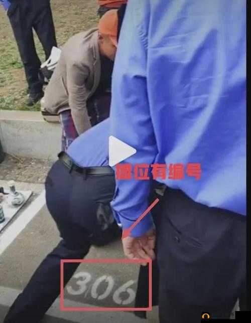 拔萝卜打牌不盖被子：趣味组合的别样呈现