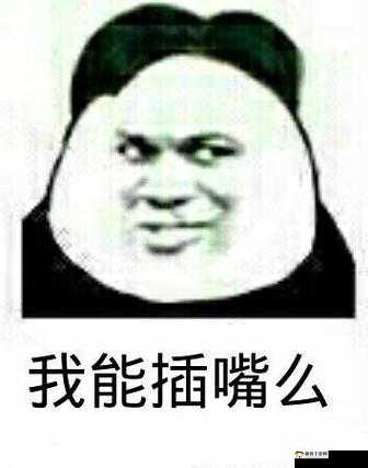 我可以插嘴吗：一个引人深思的问题