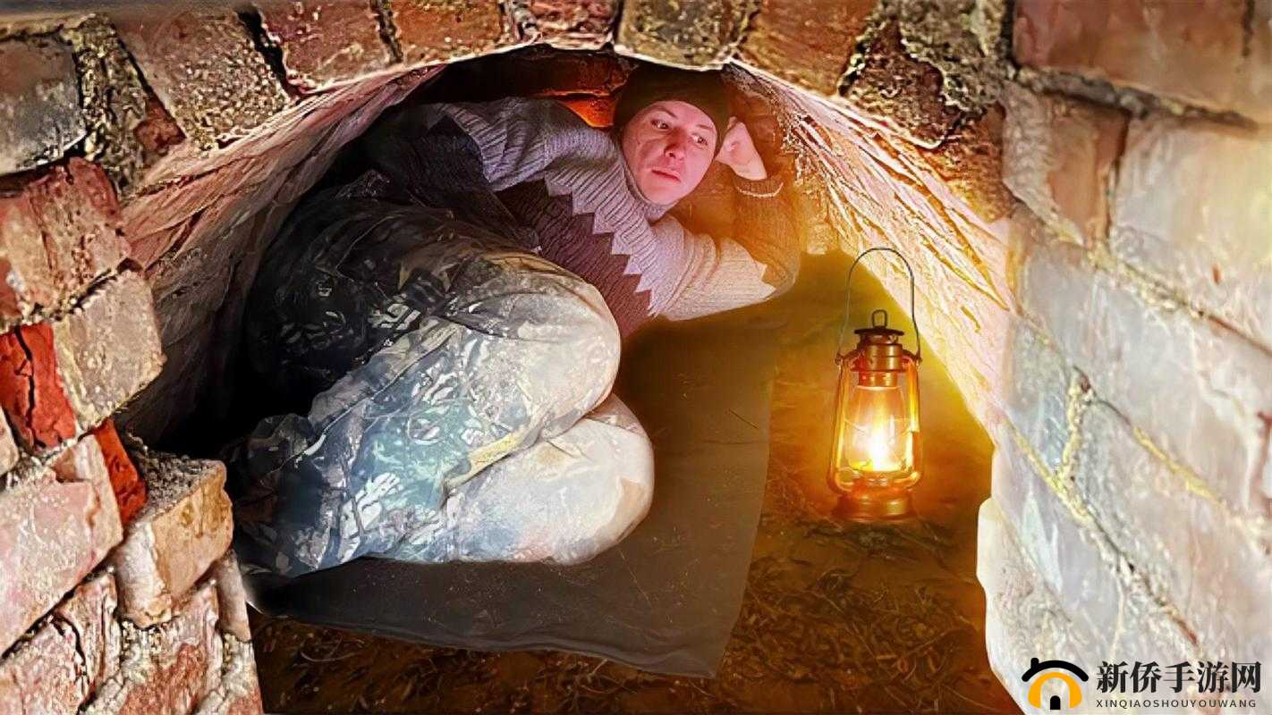 草丛里的秘密：隐藏的未知世界