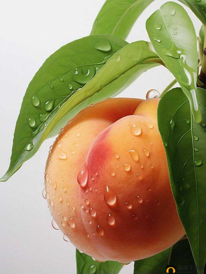 水蜜桃身体的独特魅力