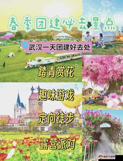 探索新洲区香草伊甸园景区：邂逅浪漫花海