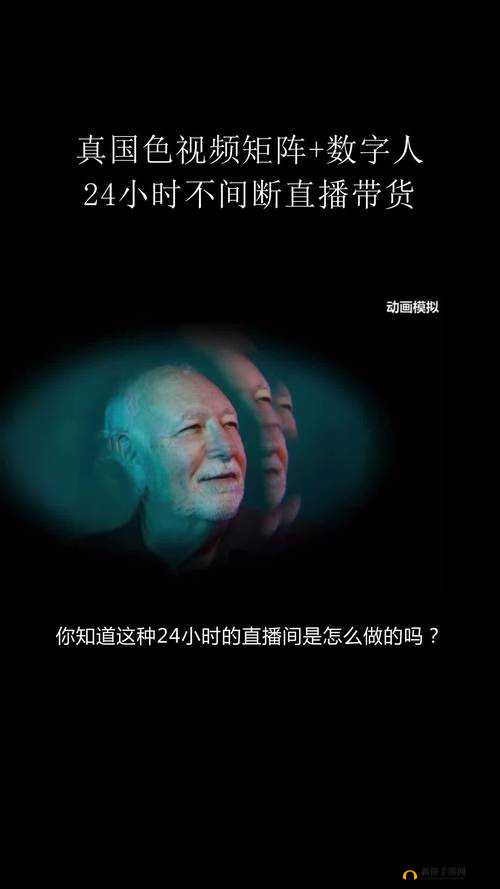 二十四小时 3 免费观看完整版：精彩不间断