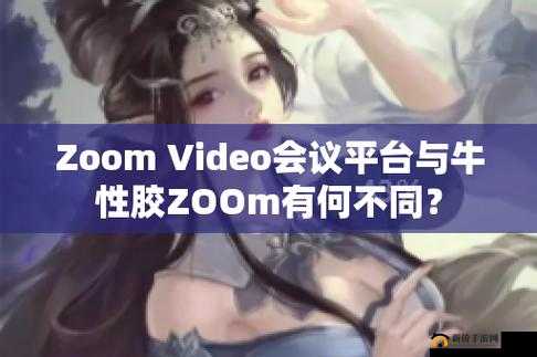Zoom 与牛性胶 ZOOm：二者的区别与联系