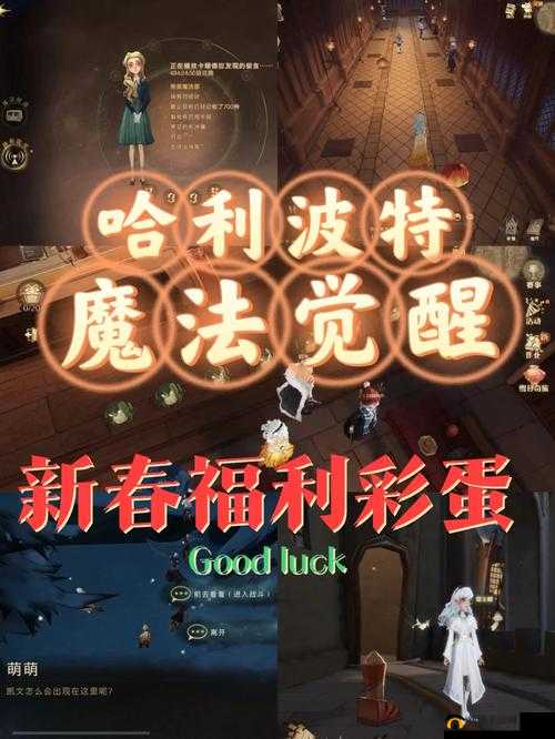 哈利波特魔法觉醒蒲绒绒彩蛋触发攻略