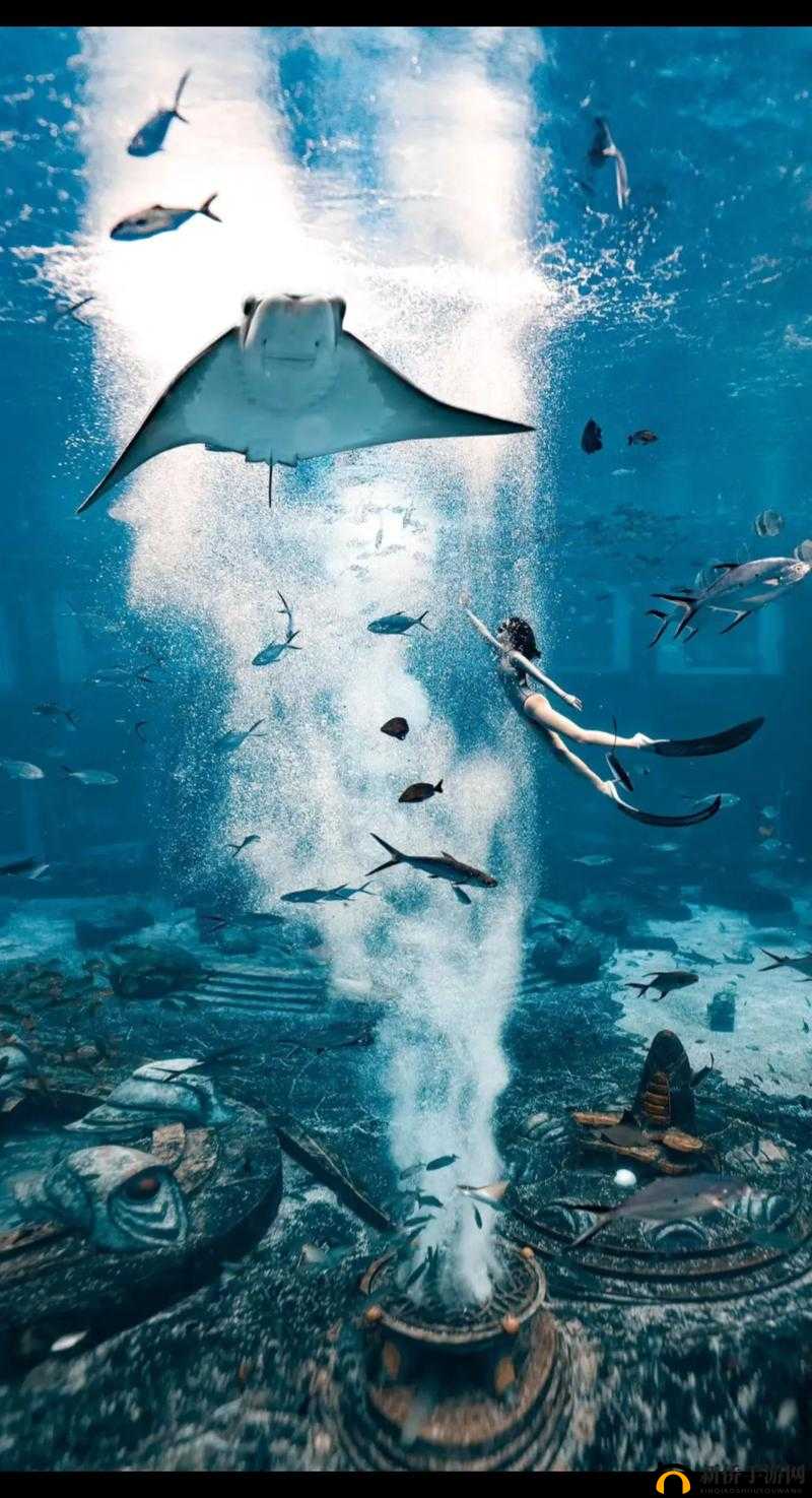 妄想山海新鱼缸：浪漫梦幻的水族效果展示与互动体验之奇妙之旅