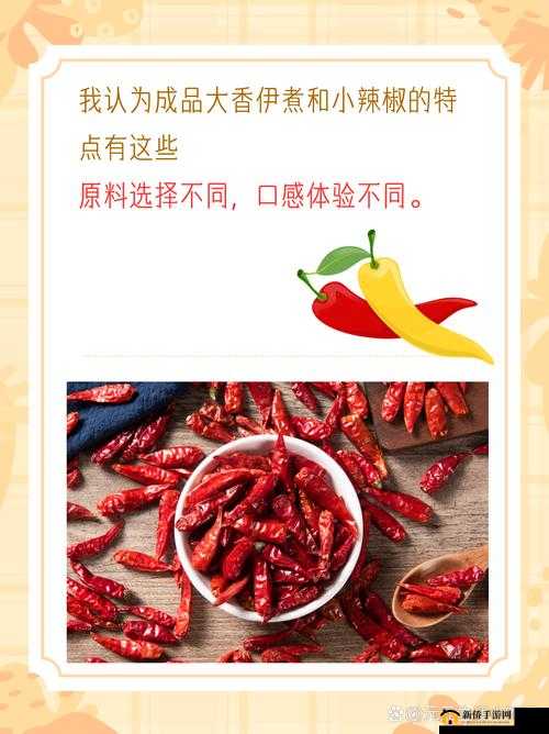 成品大香伊煮和小辣椒的烹饪及调味用途