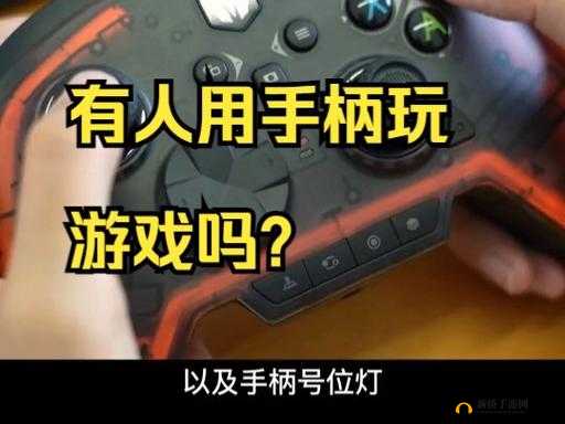 DeadCells 能否不用手柄玩 详解其不用手柄的玩法与技巧