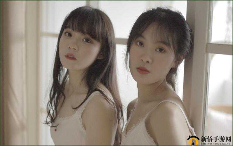 少女视频哔哩哔哩免费软件：优质视频聚集地