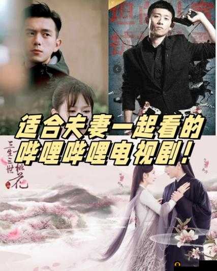 适合夫妻一起看的哔哩哔哩电视剧：甜蜜温馨之选