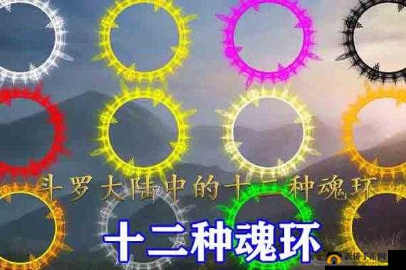 彩色魂环年限揭秘：究竟多少万年？