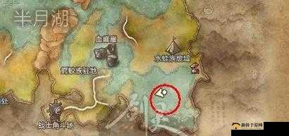 剑灵黑鳍将军攻略：击败 10 只绿壳龟，激活攻打黑鳍将军