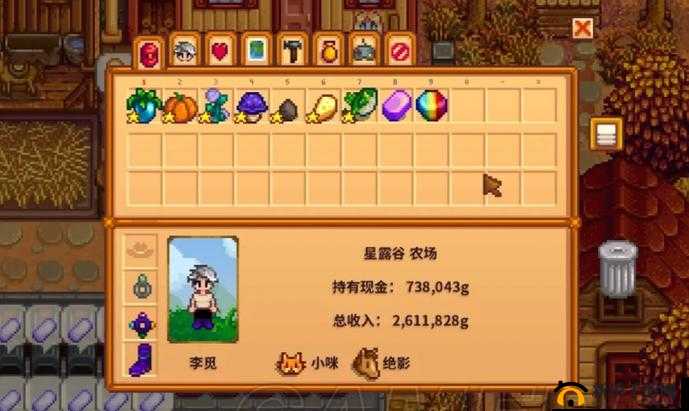 星露谷物语：如何获取齐钻