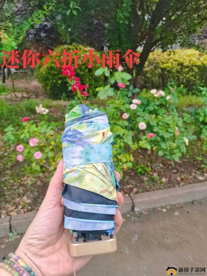 一天晚上用了好几个小雨伞：这是咋回事