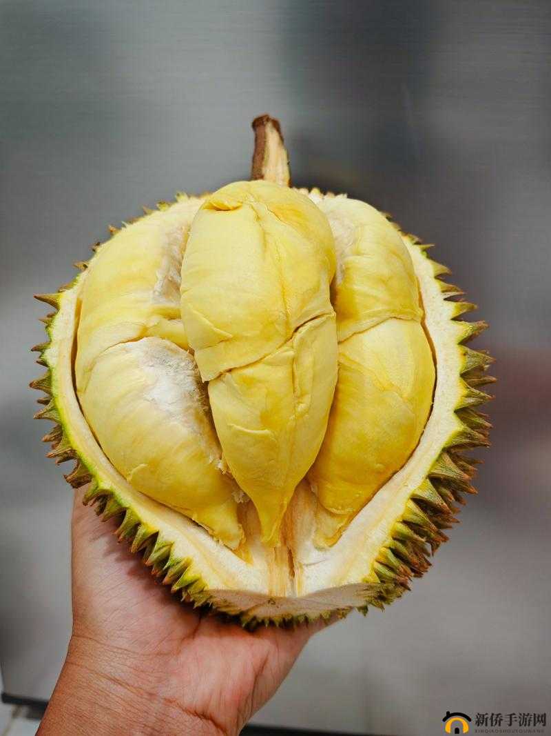 榴莲 APP：带你领略独特水果魅力