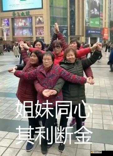 双胞胎姐妹齐上阵：姐妹同心，其利断金