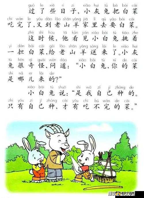 初中女生的小兔子：揭秘这个神秘的部位