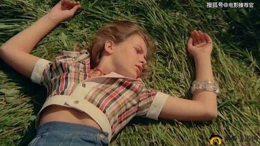 怡春院殴美性爱：成人伦理片的经典之作