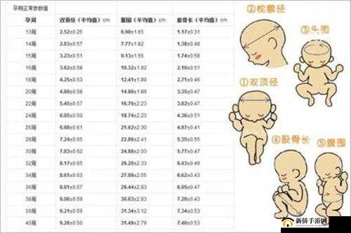 怎么判断顶到底了：男女都需了解