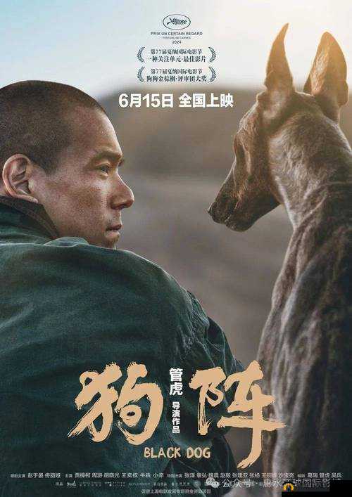 一人一狗卡住 6 个小时：背后原因引关注