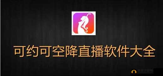 可约可空降的大秀 APP：打造专属私密空间
