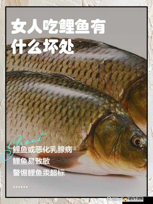 女人鲤鱼喝水图解大全之详细解析