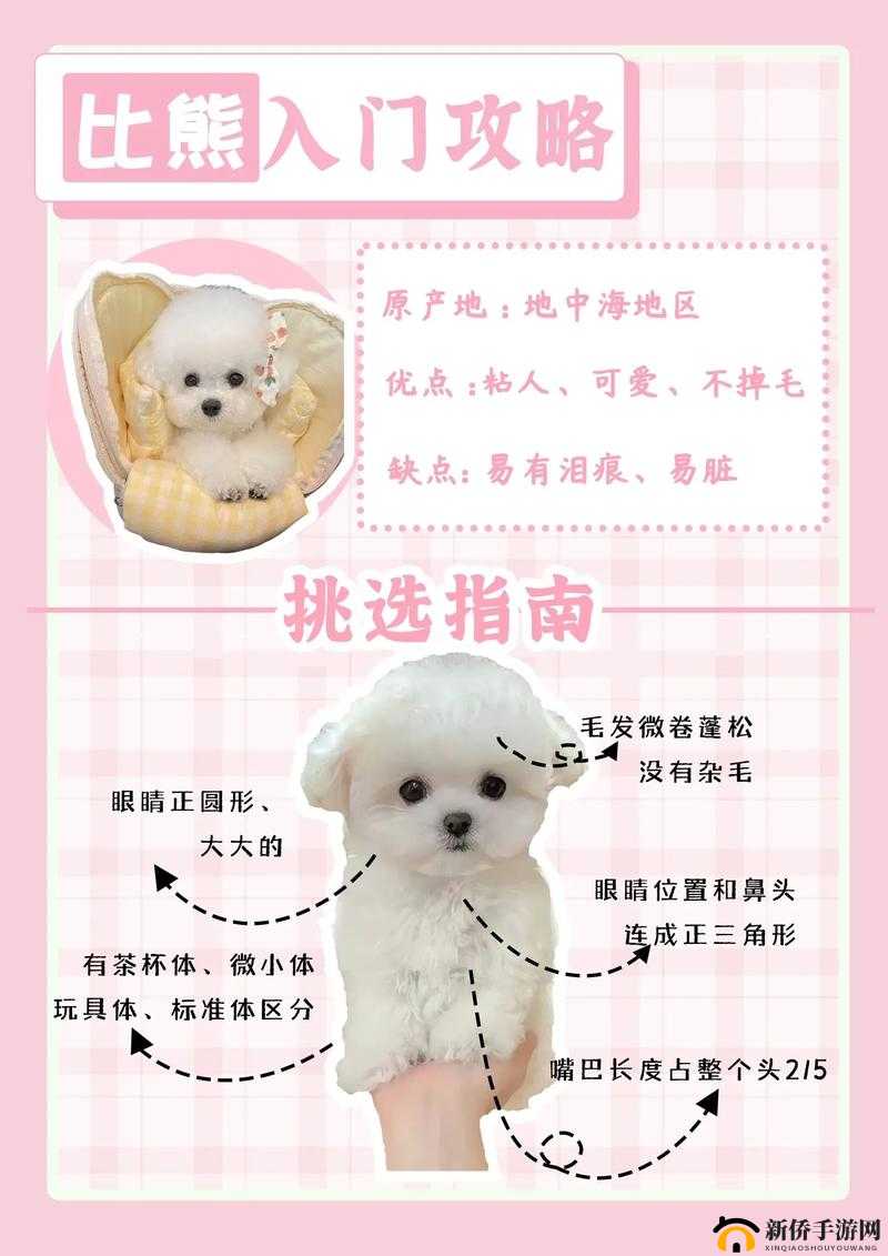 《乱弹国志》新手入门指南：解决常见问题和挑战攻略大全