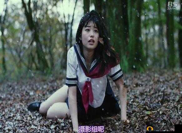 亚洲 av 狼：成人电影界的传奇之星