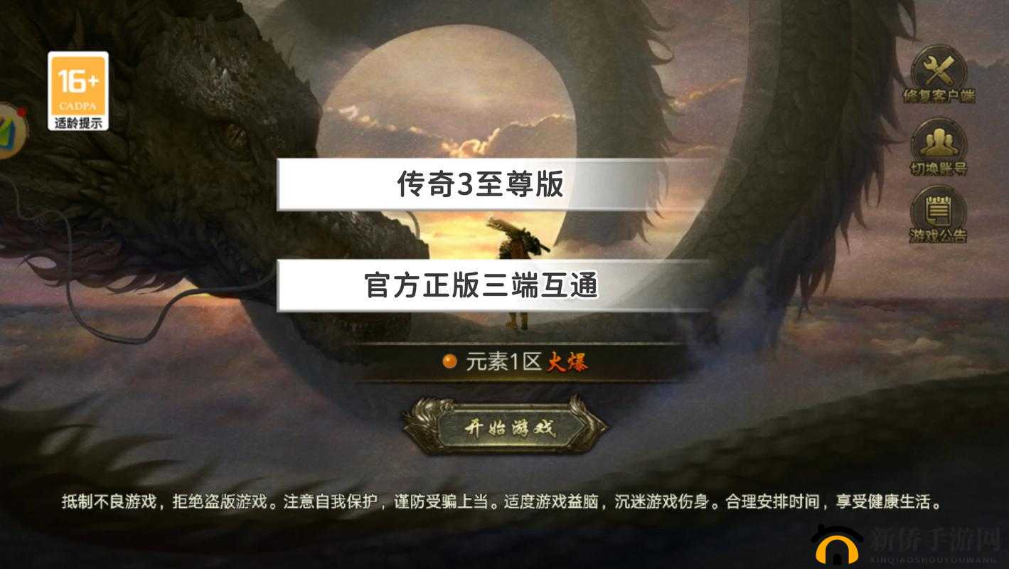 《霸道天下游戏攻略：玩法详解与技巧分享》