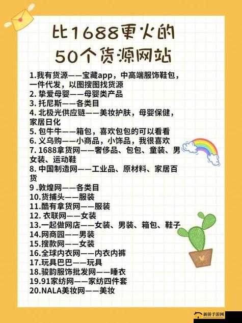 成品网站货源入口：优质货源轻松获取