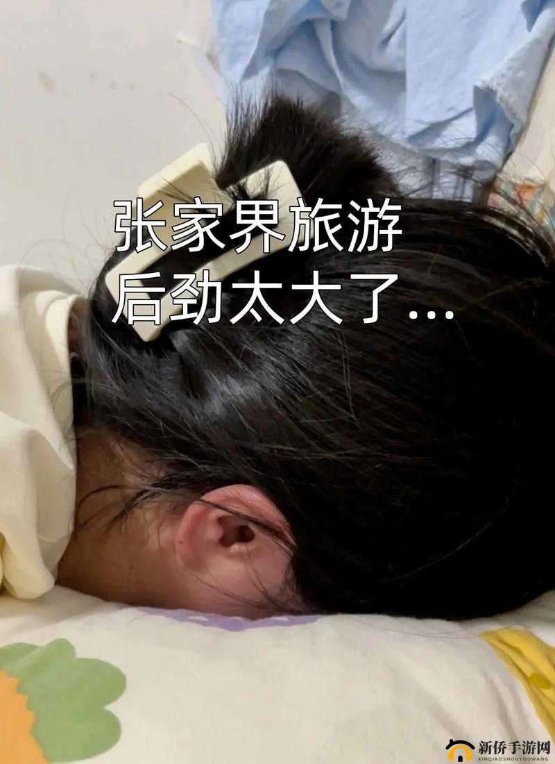 旅游换伴交流杨兰刘丹：携手共赴美好旅程