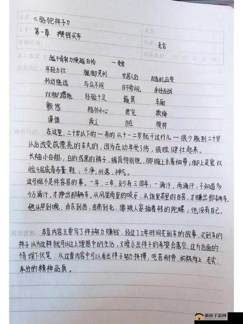 《超神战记：适应任何阵容，随机应变》