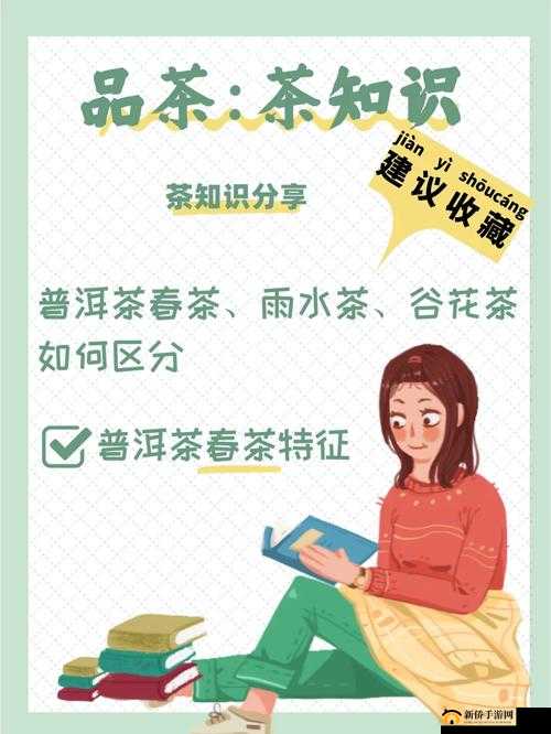 51 品茶最新：畅享品质品茶时光