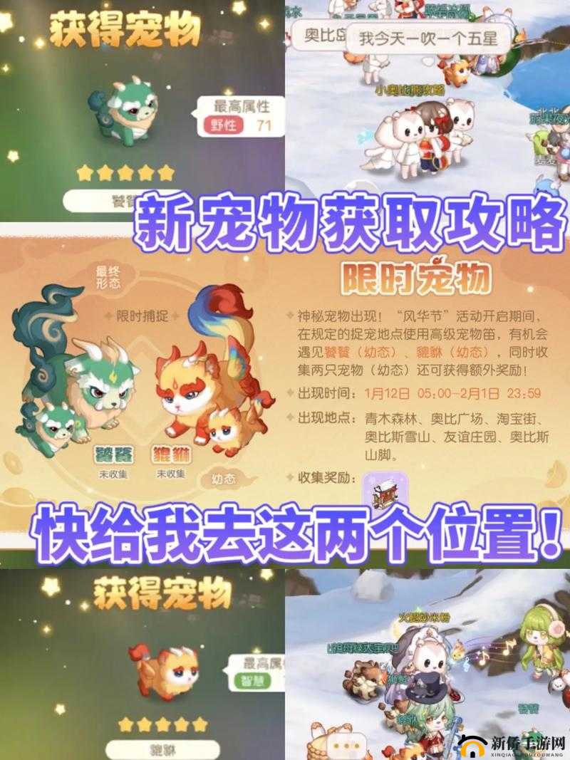 探索宝典：再刷把如何获取高级宠物经验糖果