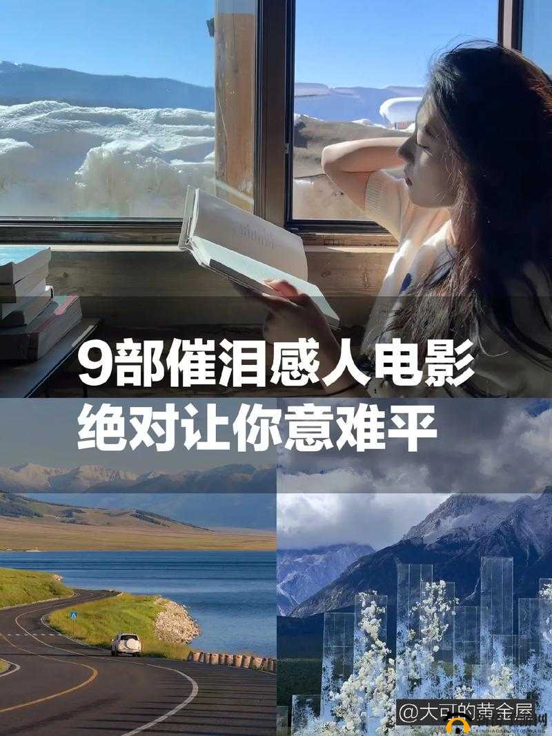 中文字幕：一部感人至深的电影