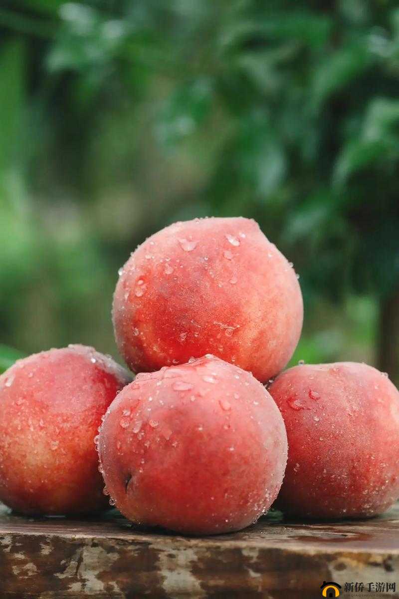 粉色水蜜桃的甜蜜诱惑