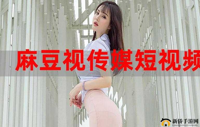 麻豆视传媒官方网站入口武汉：相关信息介绍