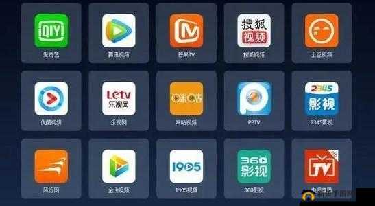100 种禁用的视频软件不要 VIP：畅享无限制影视体验