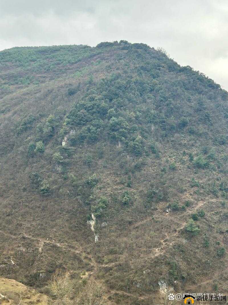 穿越火线枪战王者山丘地形巧用偷袭战术越过障碍物制胜