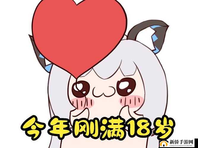 请确保您已年满 18 岁：重要提醒