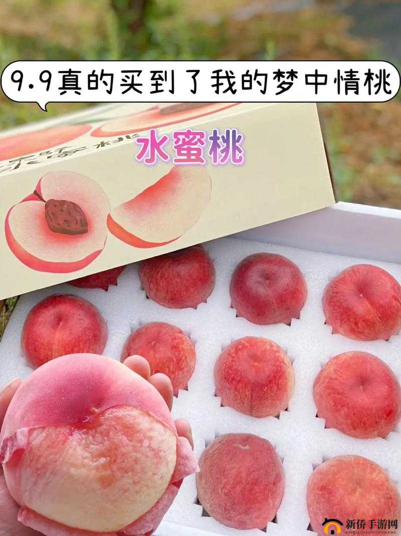 GTCARD2 水蜜桃：香甜多汁的美味佳果