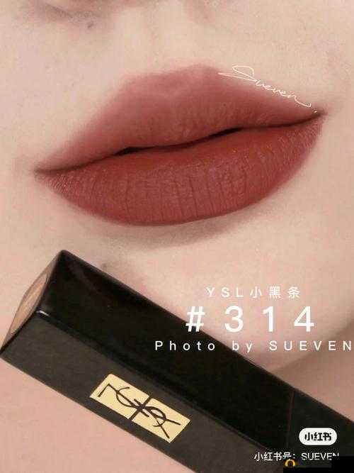 YSL 蜜桃色黄：打造迷人妆容必备