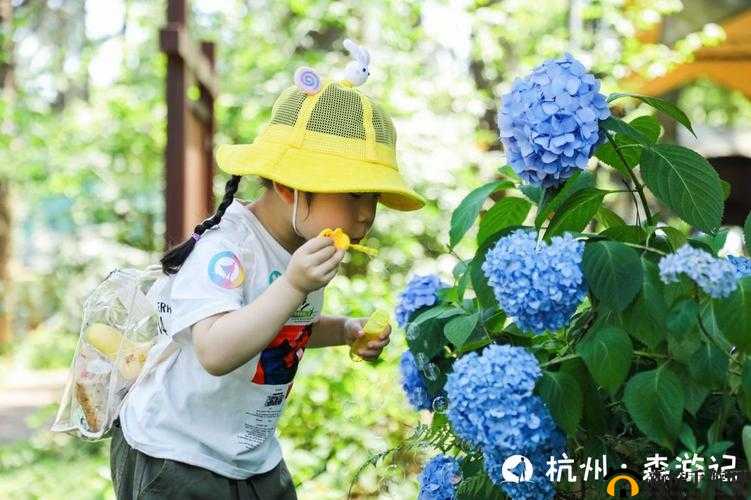海角披风少年：妈妈伴其成长之旅