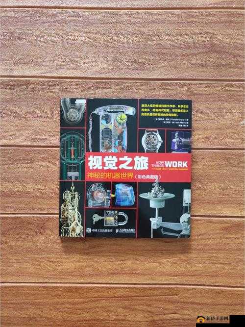 yw1137 龙物视：带你领略独特的视觉之旅