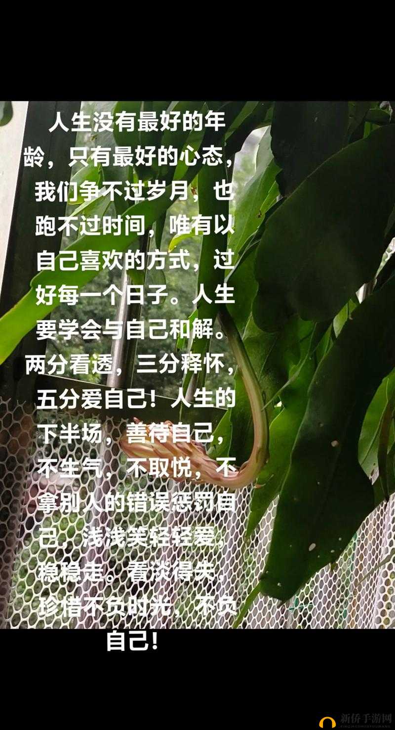 喜欢多人一起玩我什么心态：探寻背后复杂的心理动因
