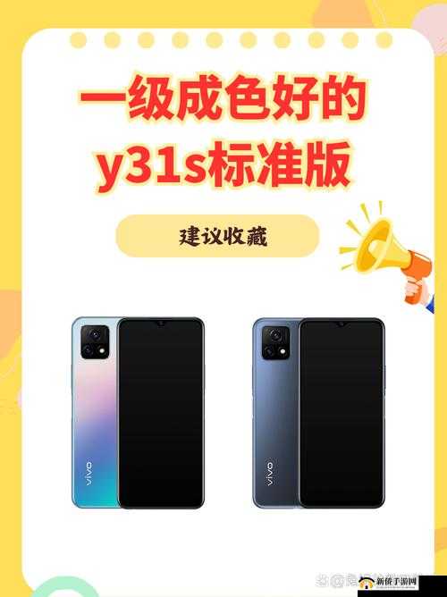 成色不凡的 Y31：开启卓越品质与独特魅力之旅