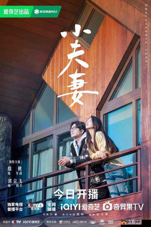 适合夫妻两个人看的电视剧：携手共赏增进感情的精彩剧集
