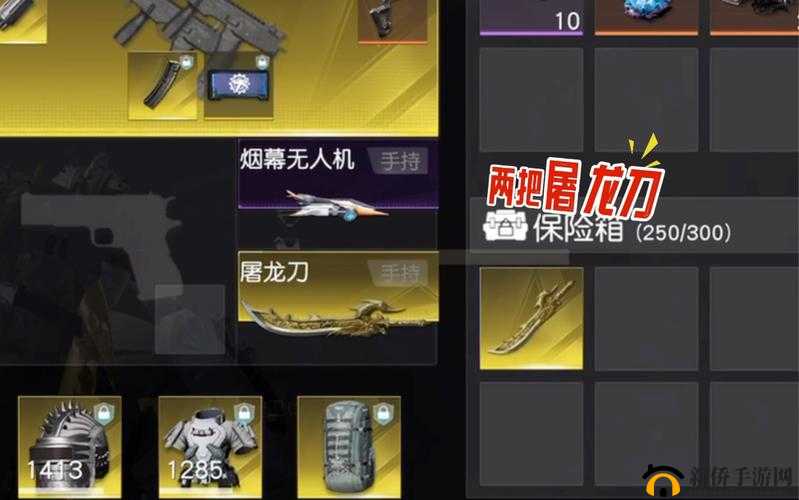 荒野行动全面解析，操作界面一览、玩法小技巧及资源管理高效策略
