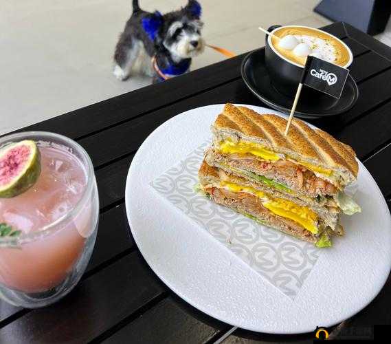 料理次元帕尼尼，揭秘独特美味配方，打造令人惊艳的装盘艺术